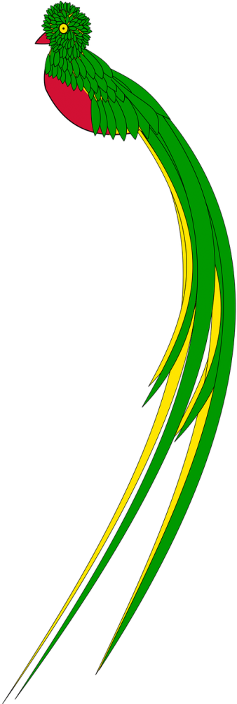 Vector Graphics - Bird Line Drawing (500x1000), Png Download