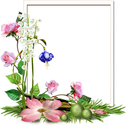 Pin By Slgudiel On Wallpapers And More - Delphinium (566x800), Png Download