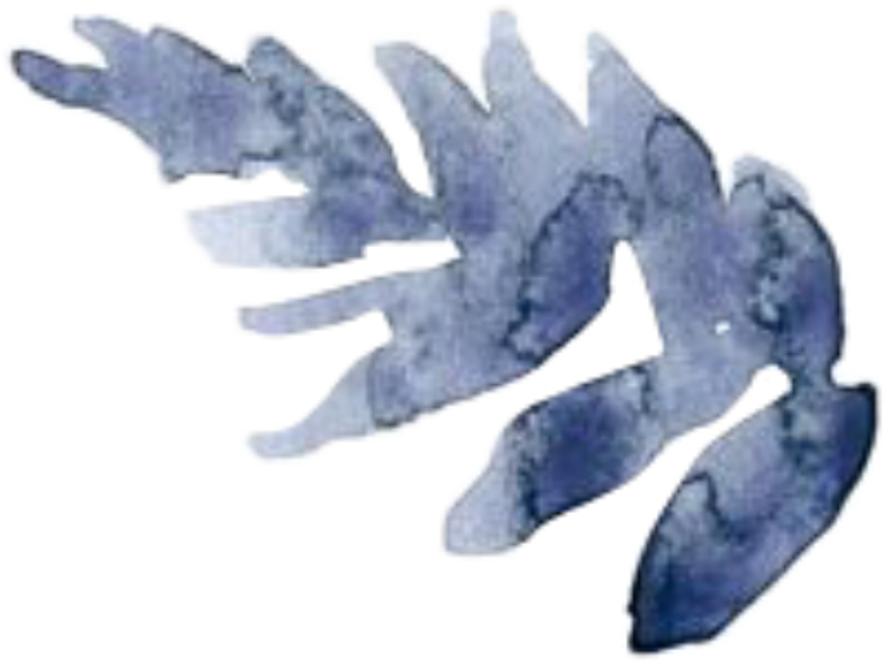 Ftestickers Art Watercolor Leaf - Watercolor Painting (1024x1024), Png Download