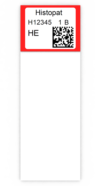 Microscope Slide Imprinted With Slidebel Printer - Microscope (400x782), Png Download