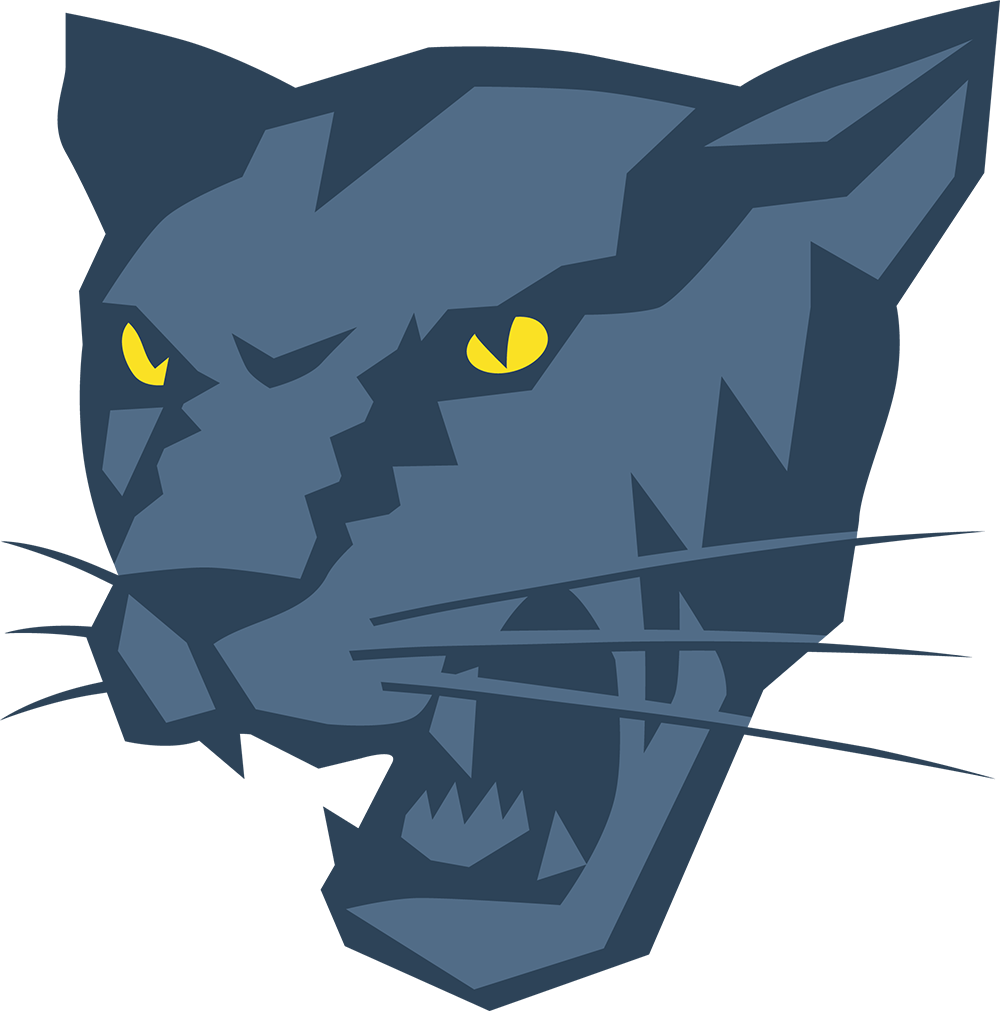 Panther Athletics - Sports (1000x1011), Png Download