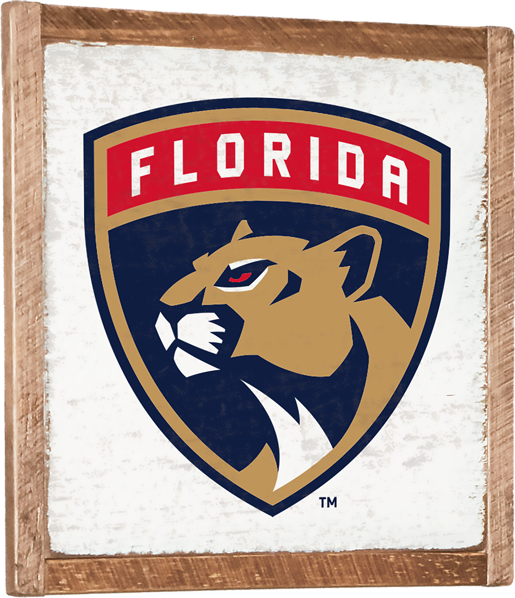 Florida Panthers Nhl Vintage Wall Art Rustic Marlin - Florida Panthers Logo 2010 (2000x2000), Png Download