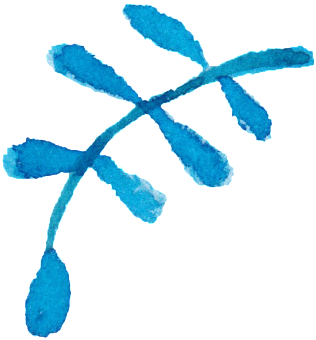 Blue Transparent Watercolor Hand Painted Flowers Decorative - Watercolor Painting (1024x1101), Png Download