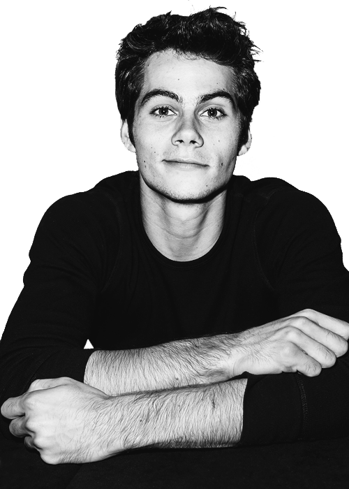 Dylan Blackwhite - Dylan O Brien Model (500x700), Png Download
