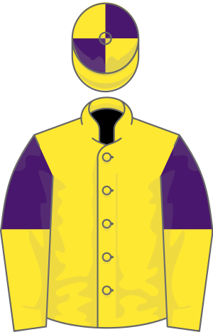 July Cup - Brando - Magnier Silks (300x468), Png Download