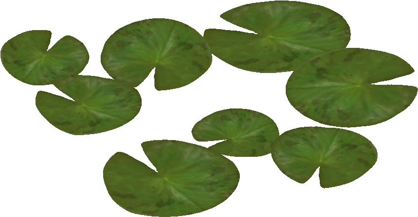 6 Backgrounds, A-736086004, Flowers, Water - Waterlily Png (846x846), Png Download