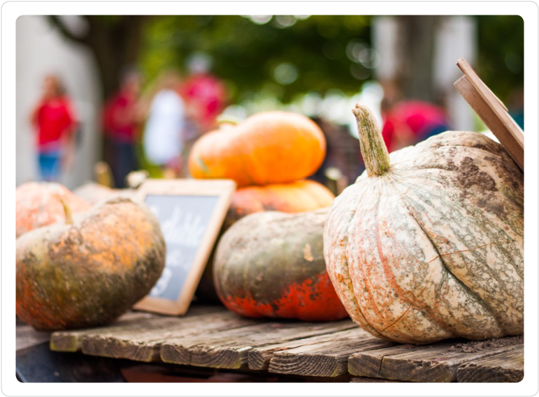 Our Pumpkins - Portable Network Graphics (800x600), Png Download