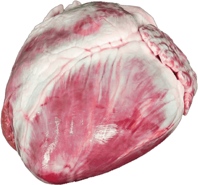 Heart (700x700), Png Download