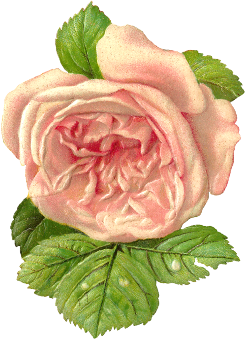 Eyfel Kulesi Pirinç Dekopaj Kağıdı 29x42 Cm - Rich (679x800), Png Download