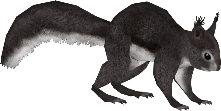 Abert's Squirrel 2 - Abert's Squirrel Png (725x725), Png Download