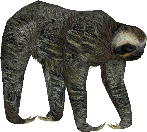 Pygmysloth - Zt2 Three Toed Sloth (529x529), Png Download