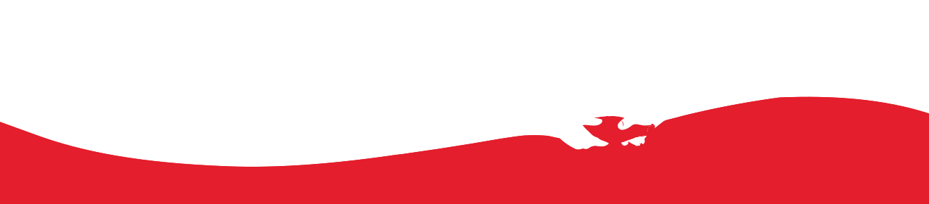 Order Products Consolidated Faqs - Coca Cola Wave Png (1316x290), Png Download