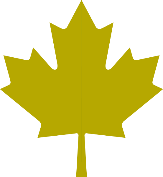 Mar Maple Leaf - Transparent Maple Leaf Png (553x599), Png Download