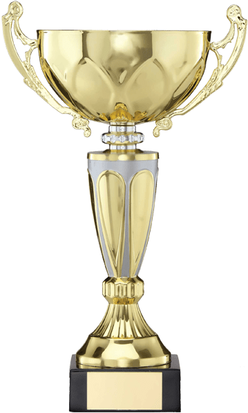 Trophy Png Transparent Picture Transparent Library - Trophy With No Background (486x598), Png Download