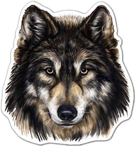 Car & Motorbike Stickers - Head Of A Wolf (464x500), Png Download
