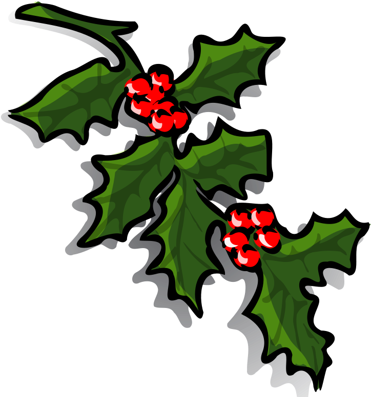 Hulver In Dialect, From On Hulfr, Holly - Christmas Holly Clip Art (657x720), Png Download