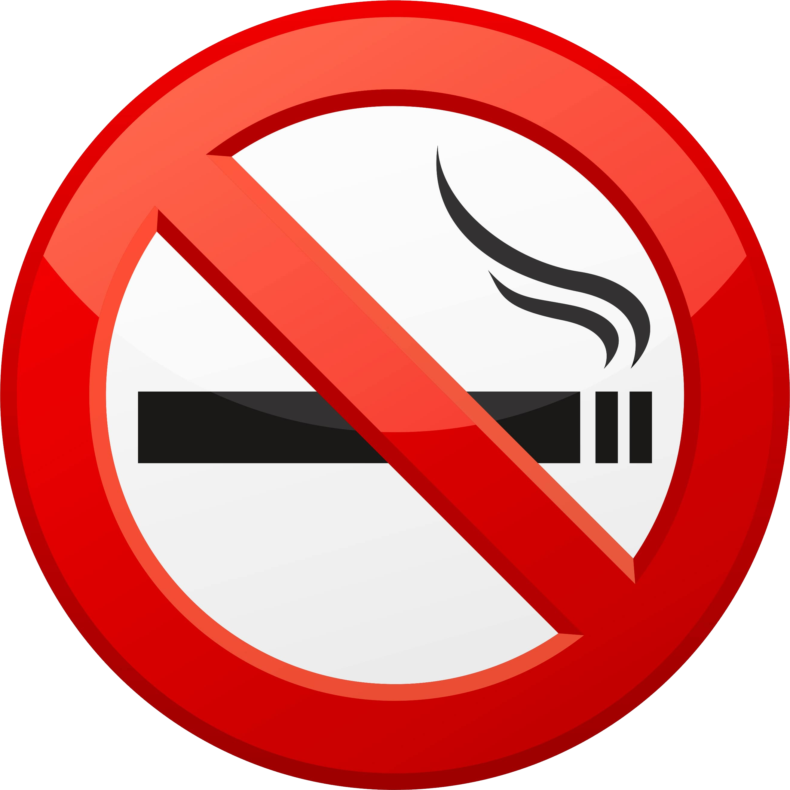 Smoking Png - No Smoking Logo Hd (2628x2627), Png Download