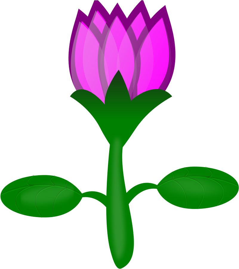 How To Set Use Lotus Clipart (850x900), Png Download
