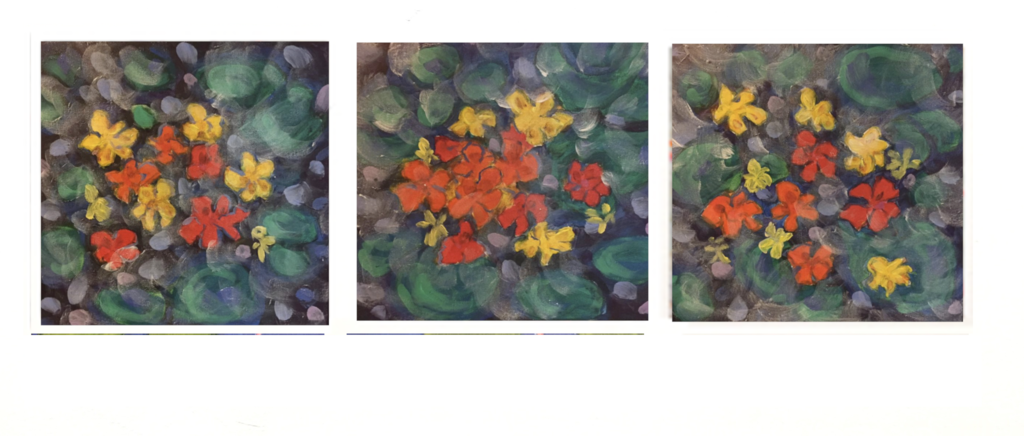 Nasturtiums 756 - Tropical Milkweed (1024x436), Png Download