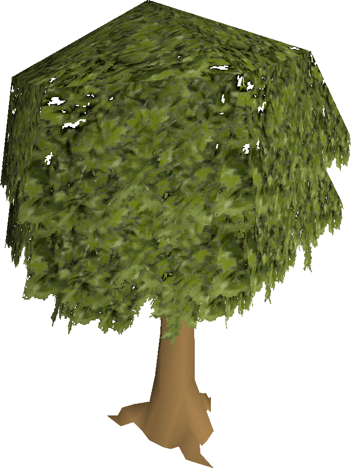 Oak Tree - Wiki (694x926), Png Download