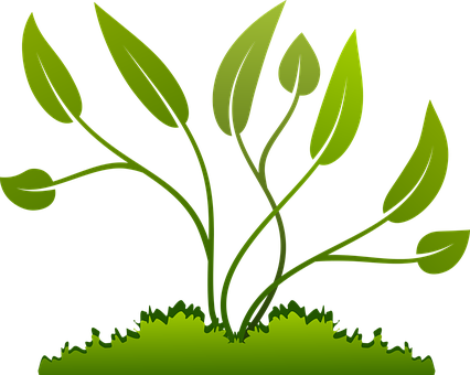 Branch Grow Growing Leaf Nature Plants Tre - Growing Plants Png (426x340), Png Download