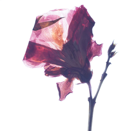 05-720x480 - Crystal (720x480), Png Download