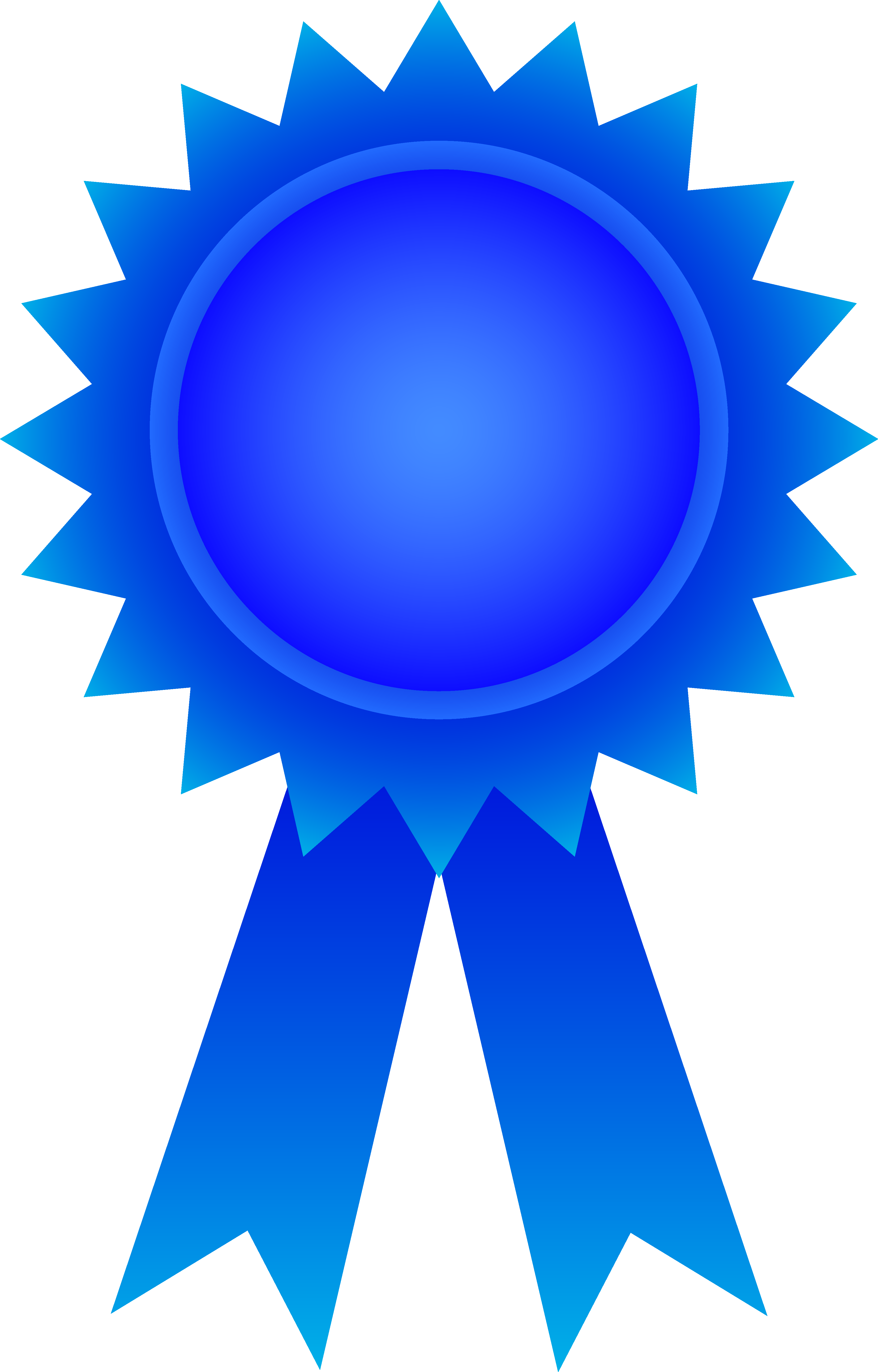 Winner - Winner Ribbon Clipart (3717x5809), Png Download