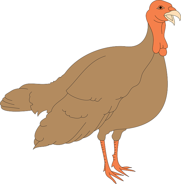 Feathers Thanksgiving, Turkey, Bird, Wings, Animal, - Turkey Hen Clipart (628x640), Png Download