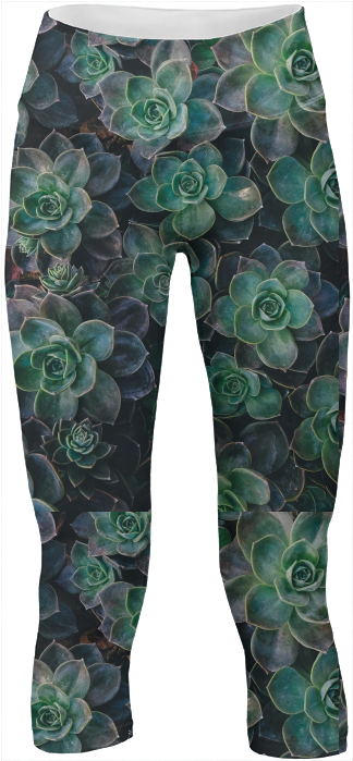 Succulent Yoga Pants $65 - Succulent Plant (400x719), Png Download