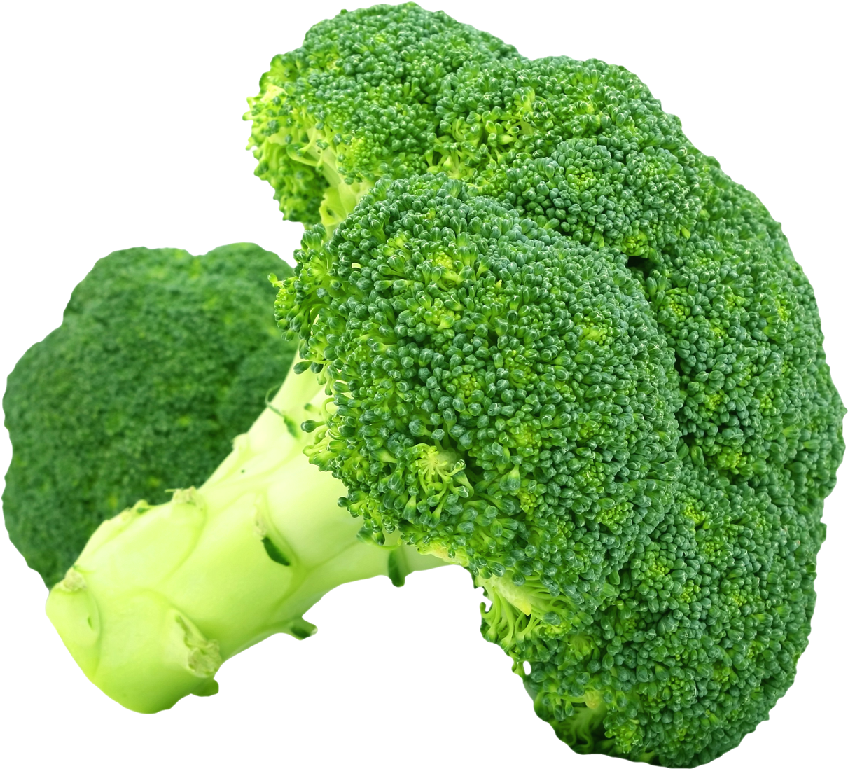 Broccoli Png Transparent Image - Broccoli Png (500x453), Png Download