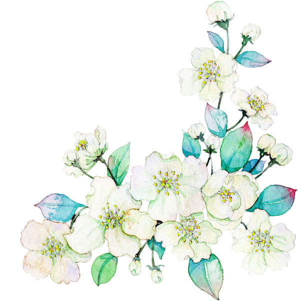 Gardenia Vector Watercolor - Flower (650x633), Png Download