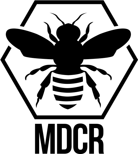 Collections - Bee Bella (600x600), Png Download