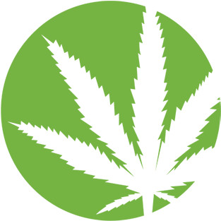 Cannabis - Purple Haze Records Logo (400x334), Png Download