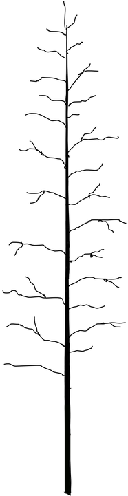 Tree (360x720), Png Download