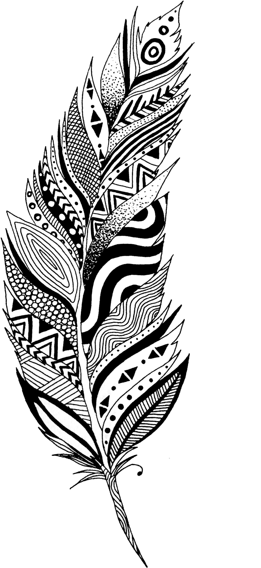 Feather By Lmushrimp-d915me5 - Black And White Feather Clipart (1024x1955), Png Download