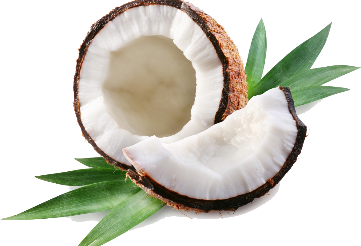 Coconut Clipart Transparent Tumblr - Coconut Png (1200x800), Png Download