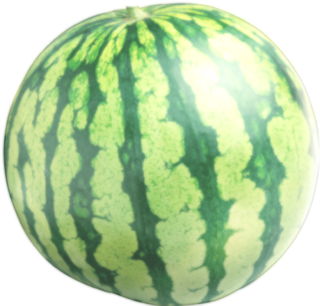 Sacred Watermelon - Watermelon Stud Earrings Fruit Jewelry Hypoallergenic (475x480), Png Download