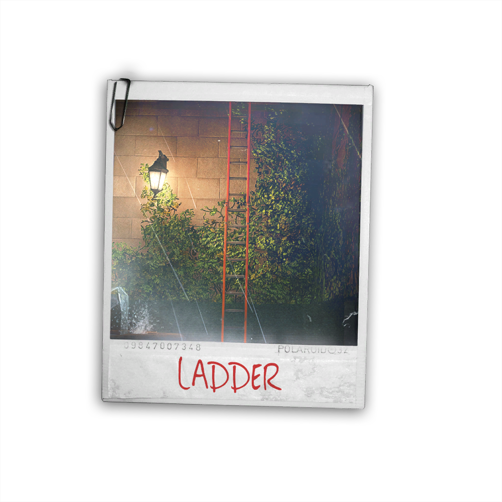 Asset Shacklethorne Ladder - Ladder (1024x1024), Png Download