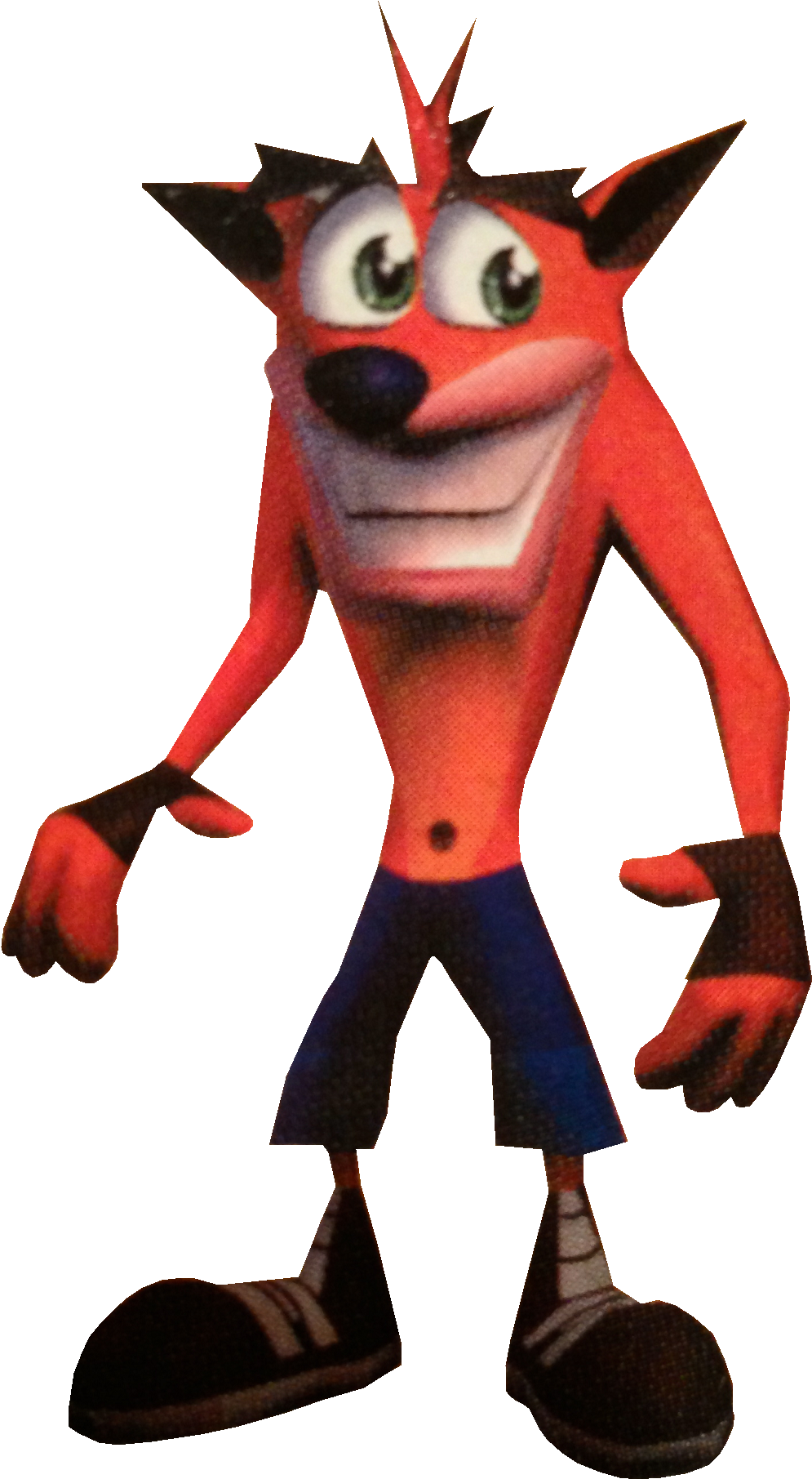 Crash Bandicoot Png Pic - Crash Bandicoot Png (1041x1859), Png Download