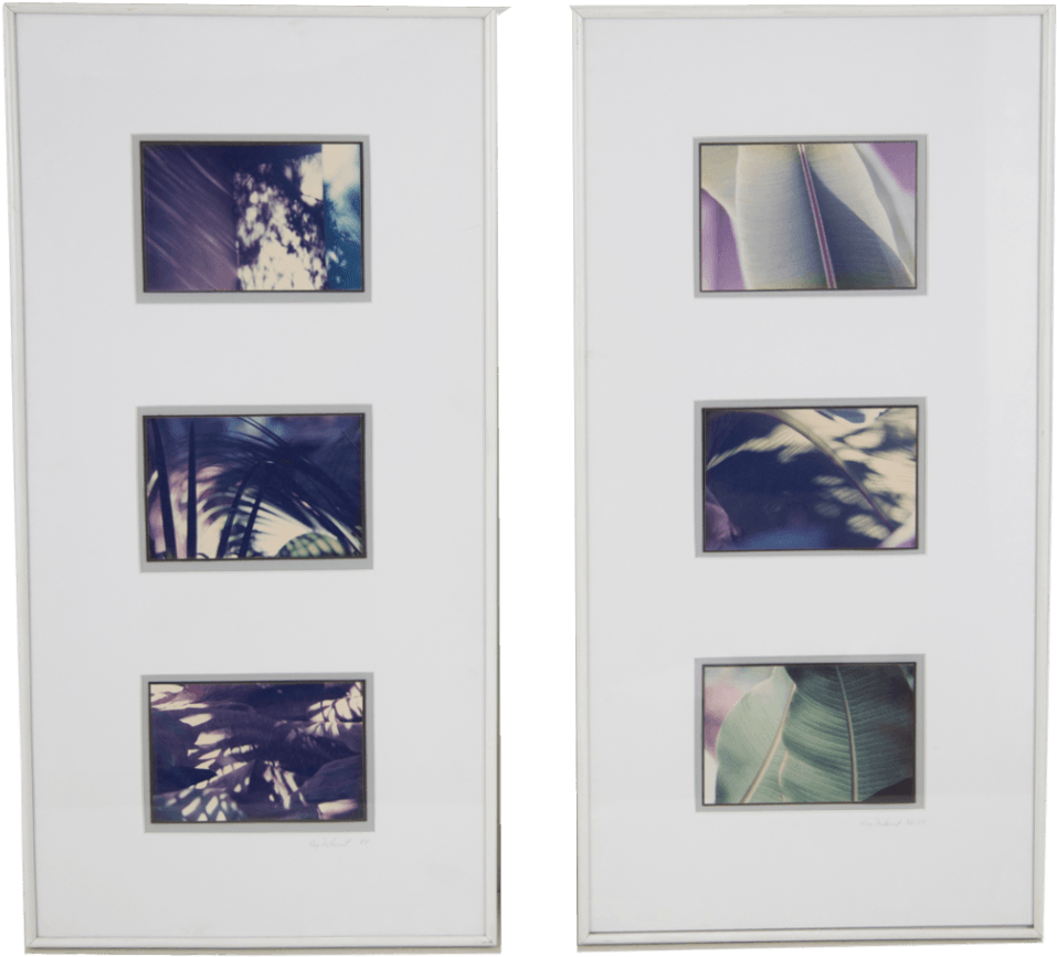 Banana Leaves - Picture Frame (1024x903), Png Download