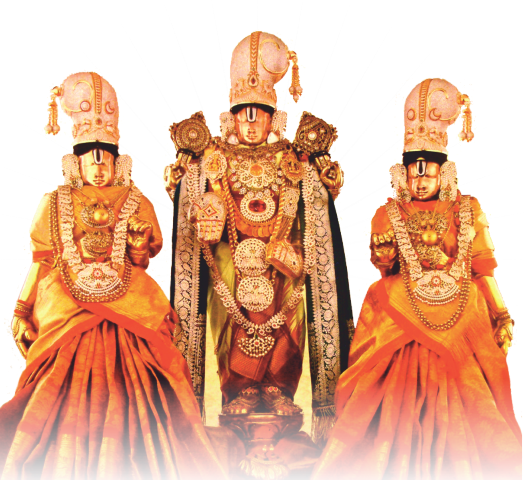 This Event Is Managed By Tirumala Tirupati Devsthanam - Venkateswara (525x480), Png Download