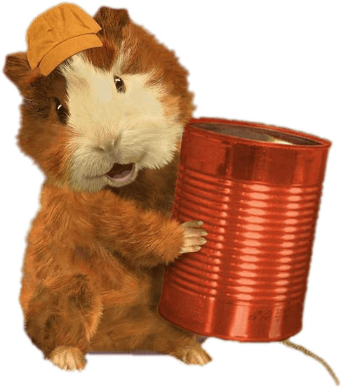 Linny Holding Wonder Pets Telephone Png - Wonder Pets Linny (601x596), Png Download
