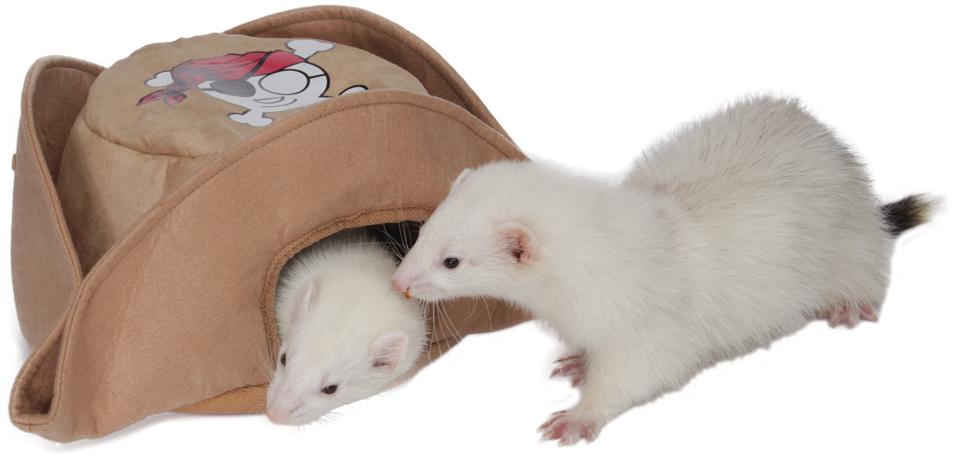 Pirate Hat - Marshall Pet Products Pirate Hat (2048x1249), Png Download