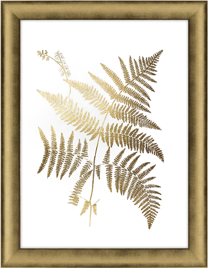 Gold Foil Ferns I - Art Print: Vision Studio's Gold Foil Ferns (550x550), Png Download