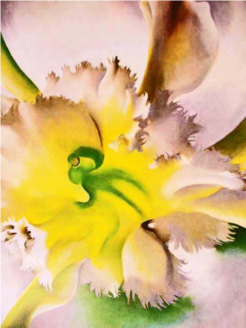 1977 'georgia O'keeffe' Modern Art, Out Of Print, Rare - Georgia O Keeffe (640x640), Png Download