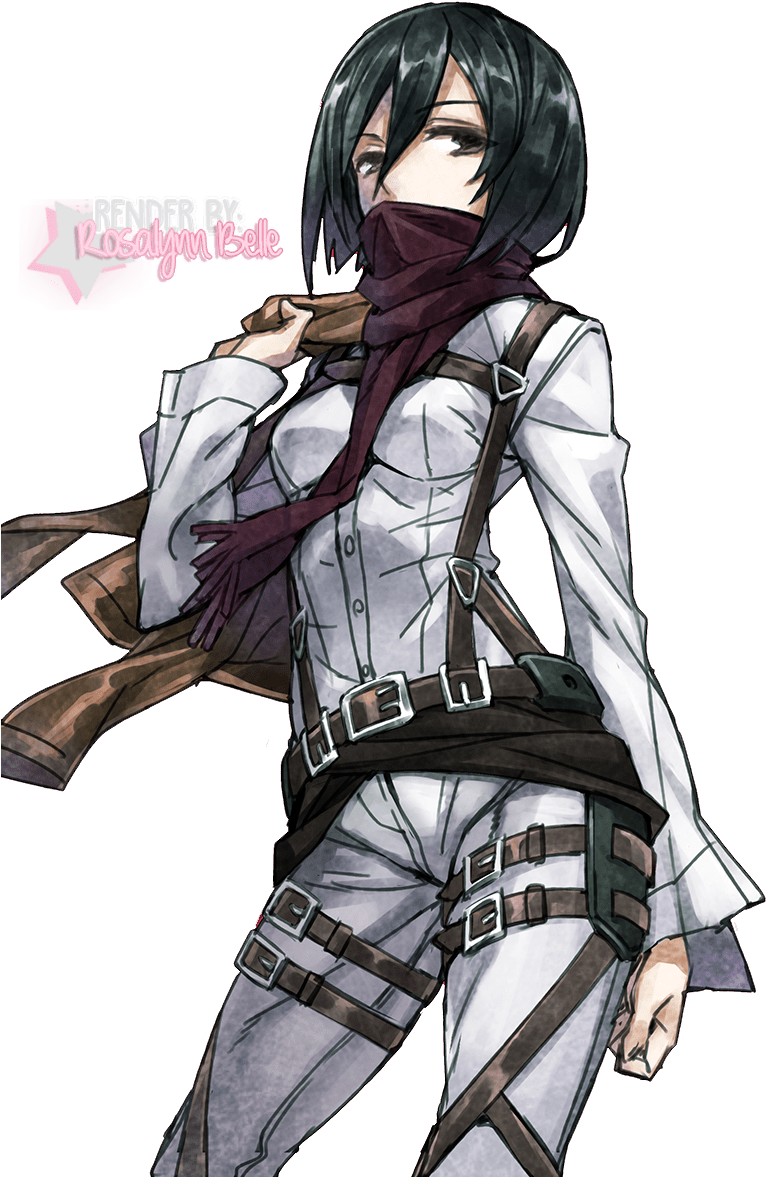 Shingeki No Kyojin Mikasa Ackerman Render By Rosalynnbelle - Shingeki No Kyojin Mikasa Render (850x1200), Png Download