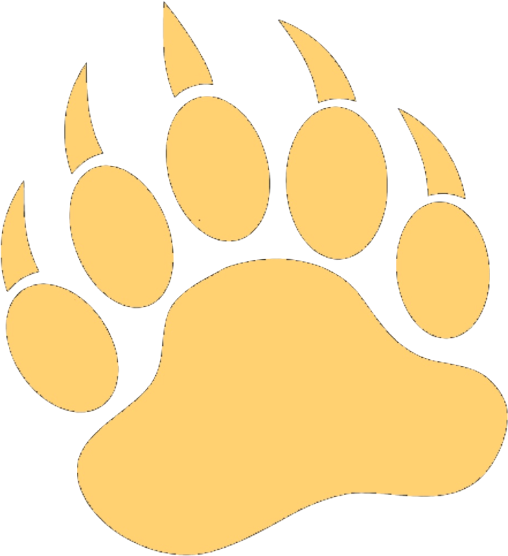 Tvhs Golden Bears Logo (748x819), Png Download