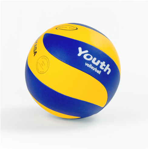 Volley Ball Mikasa Youth, Size - Ballon De Volley Mikasa Youth (500x500), Png Download