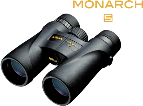 Monarch 5 Binocular - Nikon Monarch 5 8 X 42 Black Binoculars (960x390), Png Download