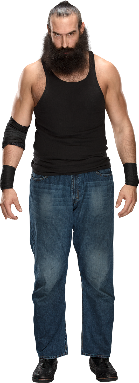 Luke Harper Stat - Wwe Luke Harper 2017 (320x728), Png Download